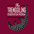 Trenggiling Conservation Program